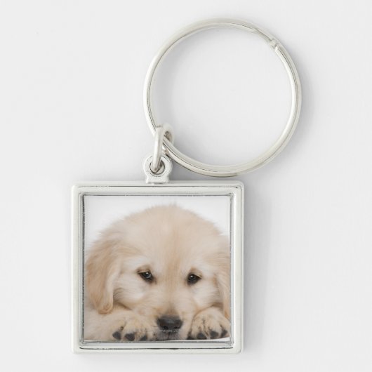 Porte-clés Chiot de golden retriever (Devant)