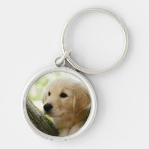 Porte-clés Chiot de Labrador se reposant dans un arrangement