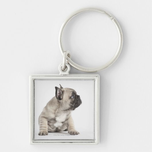 Porte-clés Chiot de pure race (Devant)