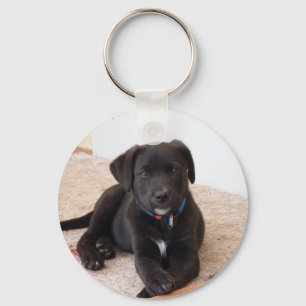 Porte-clés Chiot de récupération Black Labrador