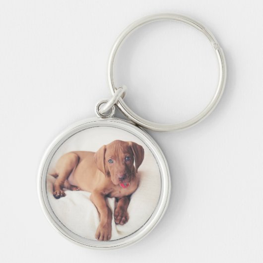 Porte-clés Chiot de Vizsla de Hongrois (Devant)