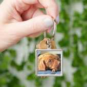 Porte-clés Chiot de Vizsla se reposant sur sa patte (main)