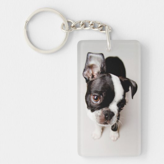 Porte-clés Chiot d'Edison Boston Terrier (Devant)