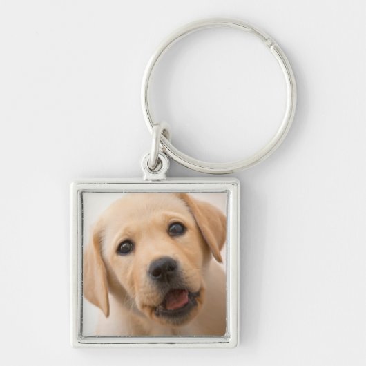 Porte-clés Chiot d'or de Labrador (Devant)