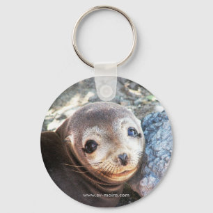 Porte-clés Chiot d'otarie, plazas d'Isla Las, Galapagos