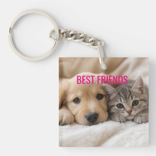 Porte-clés Chiot endormi et chaton câlins (Devant)