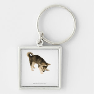 Porte-clés Chiot enroué 2