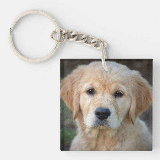Porte-clés Chiot Golden Retriever (Devant)