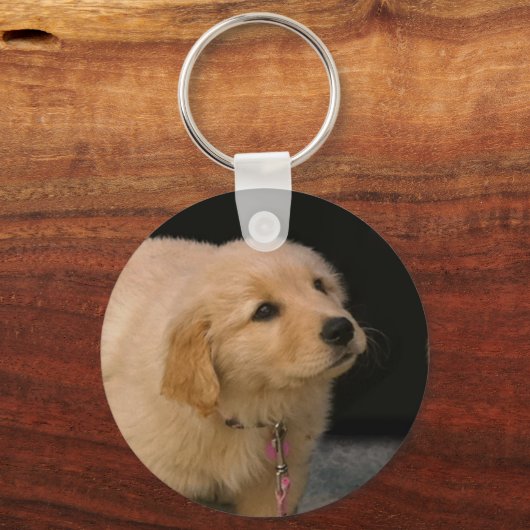 Porte-clés Chiot Golden Retriever (Recto)