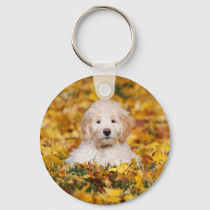 Porte-clés Chiot Goldendoodle En Feuilles Automnes