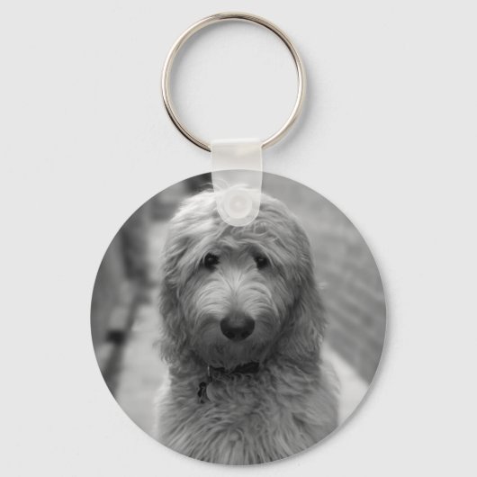 Porte-clés Chiot Goldendoodle en Jardin (Recto)