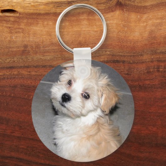 Porte-clés Chiot Havanais (Recto)