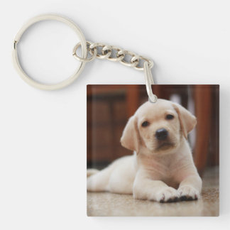 Porte-clés Chiot jaune de Labrador de bébé s'étendant sur le