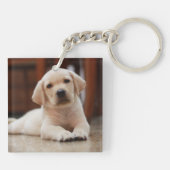 Porte-clés Chiot jaune de Labrador de bébé s'étendant sur le (Dos)