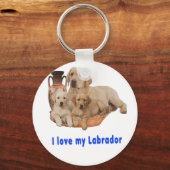 Porte-clés Chiot Labrador Retriever (Recto)
