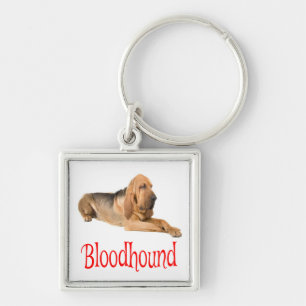 Porte-clés chiot Limier Amour Chien Canin