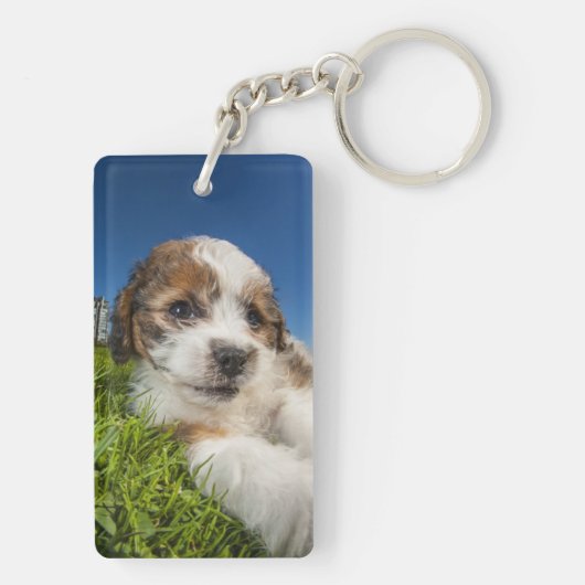 Porte-clés Chiot mignon (Shitzu) (Dos)