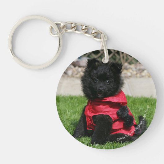 Porte-clés Chiot noir de Pomeranian regardant (Devant)