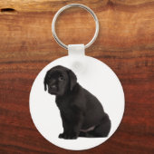 Porte-clés Chiot noir Labrador (Recto)