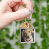 Porte-clés Chiot rouge de Fox Labrador (main)