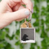 Porte-clés Chiot se situant en flocons de neige de (main)