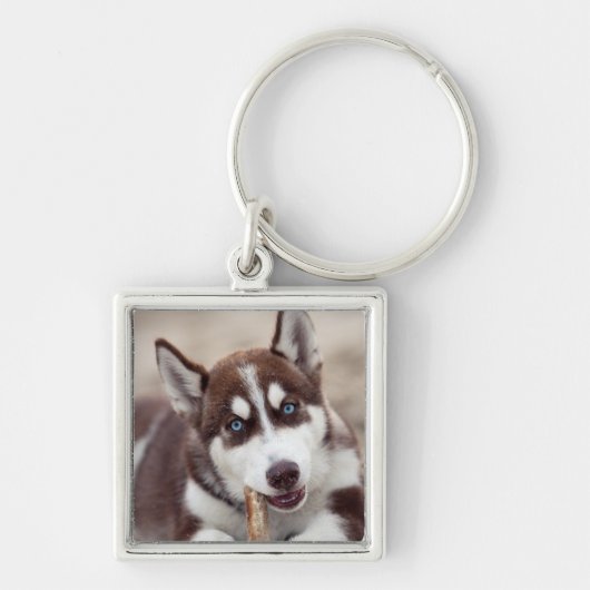 Porte-clés Chiot sibérien Husky à la plage (Devant)