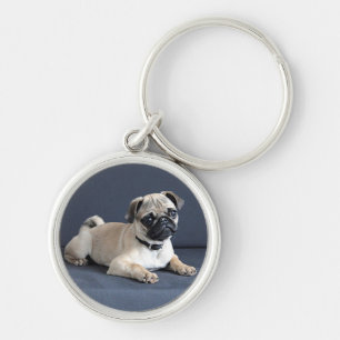 Porte-clés Chiot sur le divan Lounging