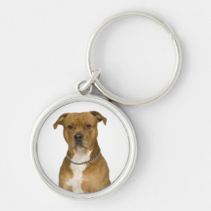 Porte-clés chiot Terrier Américain Staffordshire