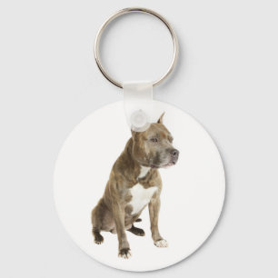 Porte-clés chiot Terrier Amstaff