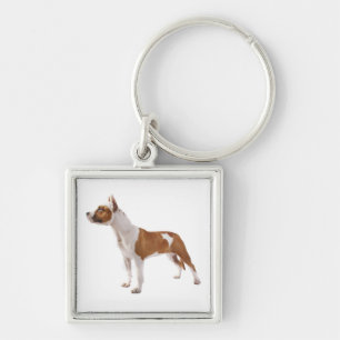 Porte-clés chiot Terrier Amstaff