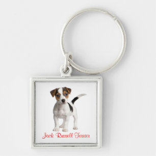Porte-clés chiot Terrier Jack Russell