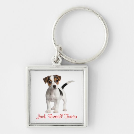 Porte-clés chiot Terrier Jack Russell (Devant)