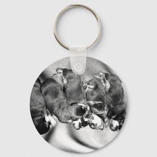 Porte-clés chiots à tête blanche