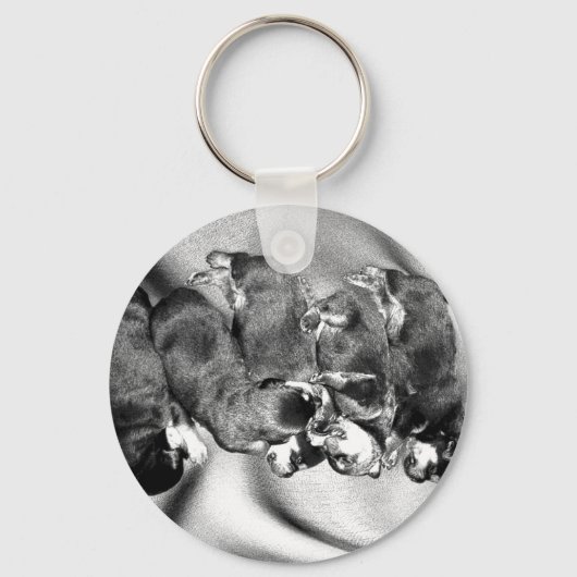 Porte-clés chiots à tête blanche (Recto)