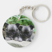 Porte-clés Chiots aux cheveux longs de chiwawa (Dos)