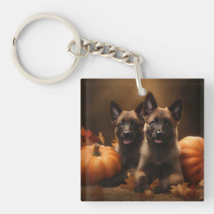 Porte-clés Chiots Berger Belge Délice d'Automne Citrouille