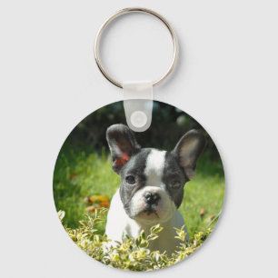 Porte-clés Chiots Bouledogue Français noir et blanc