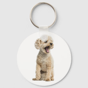 Porte-clés Chiots Caniches Abricot