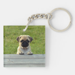 Porte-clés Chiots Carlin