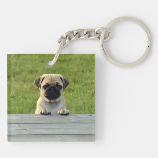 Porte-clés Chiots Carlin (Dos)