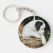 Porte-clés Chiots de boxeur dans le panier (Devant)
