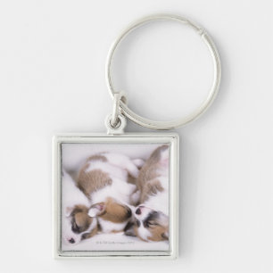 Porte-clés Chiots de corgi de sommeil gallois