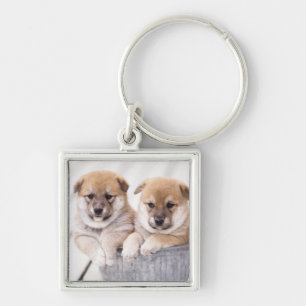Porte-clés Chiots de Shiba Inu dans le baquet en aluminium