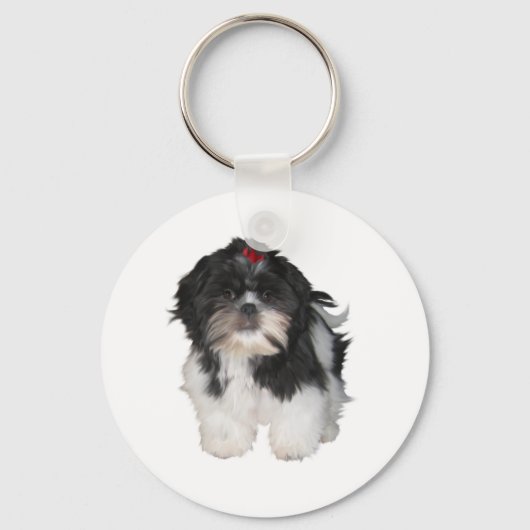 Porte-clés Chiots de Shitzu Shih Tzu (Recto)