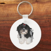 Porte-clés Chiots de Shitzu Shih Tzu (Recto)