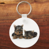 Porte-clés Chiots du Yorkshire Terrier (Recto)