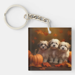 Porte-clés Chiots Havanais Délice d'Automne Citrouille