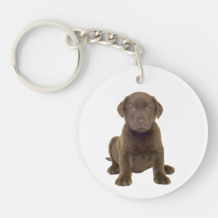 Porte-clés Chiots Labrador au Chocolat