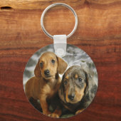 Porte-clés Chiots mignons Dachshund (Brown/Noir) (Recto)
