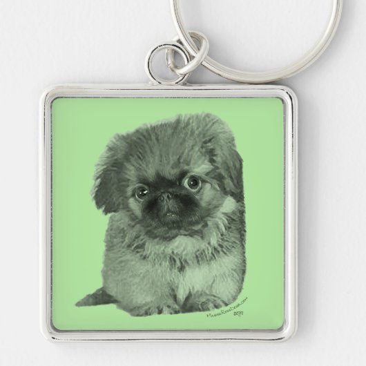 Porte-clés Chiots Pékinois Vert (Devant)